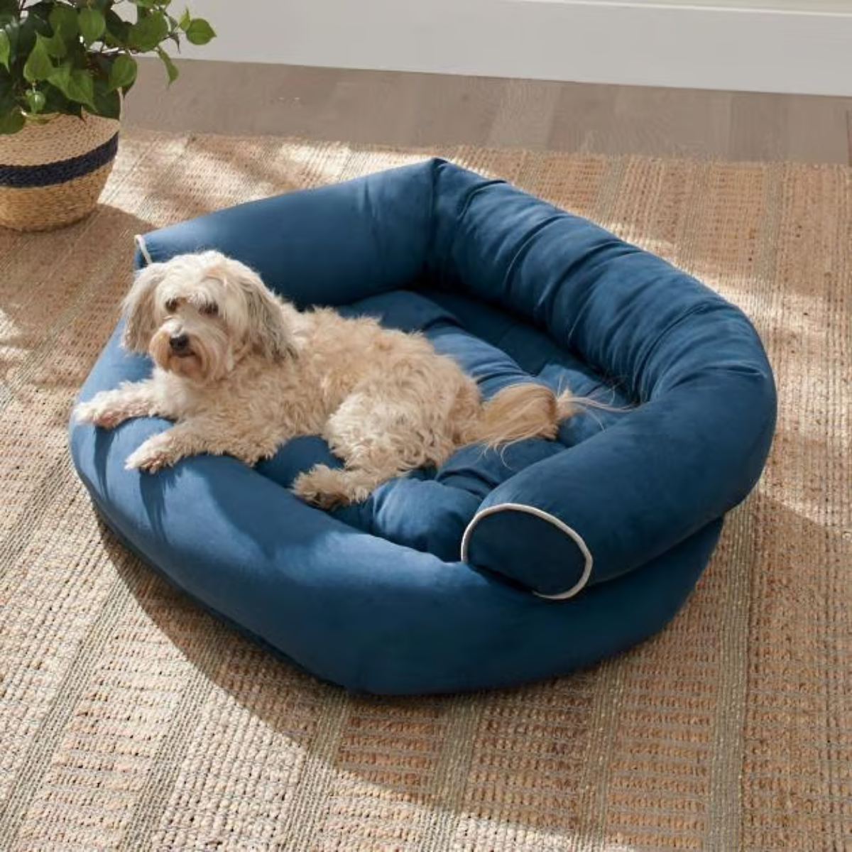 DogSofa Deluxe™ | 50% KORTING!