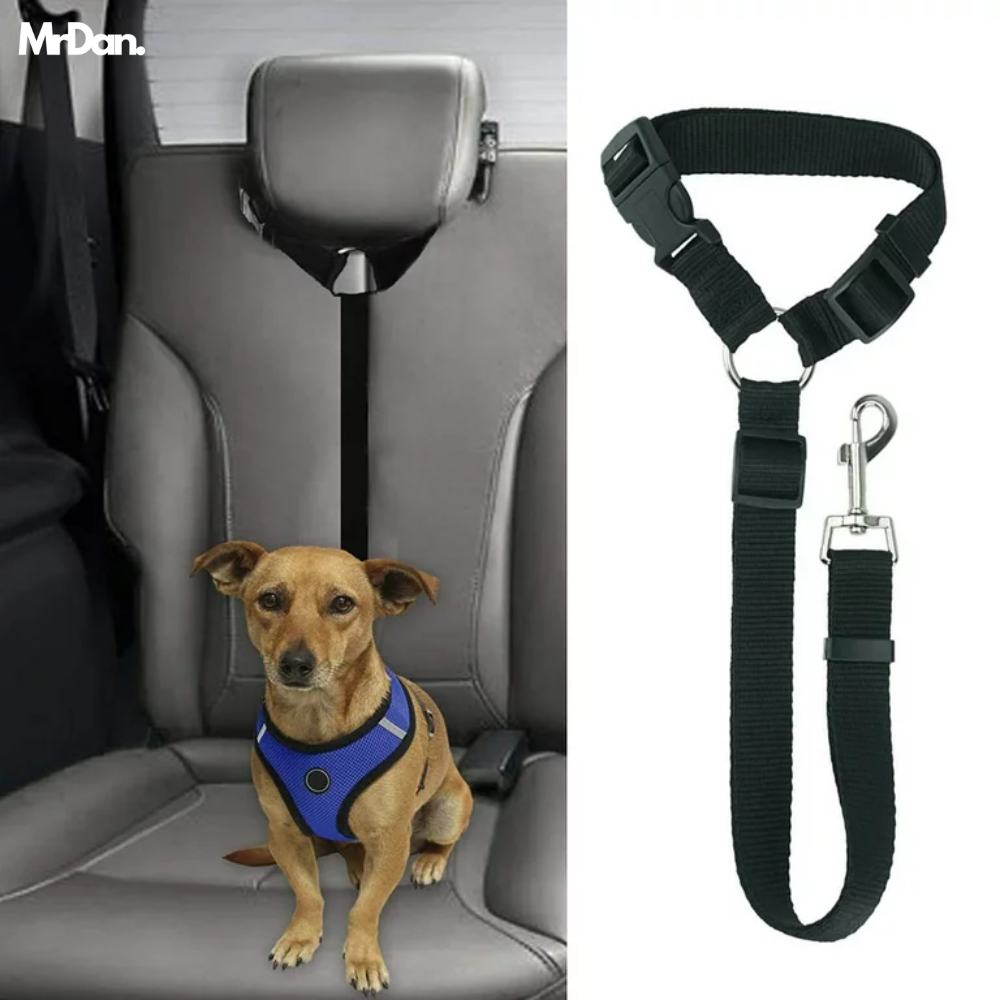 Dog Car Leash Pro™