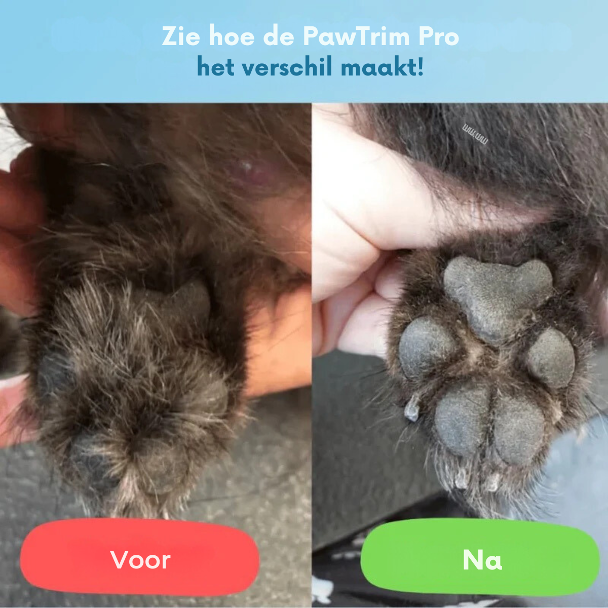 PawTrim Pro™ | Pijnloze Verzorging in Seconde!