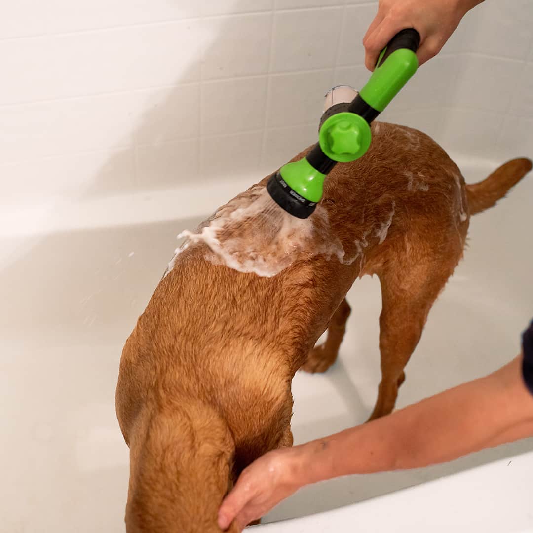 Pup Jet™ | Dog Washer & Shampoo Sprayer