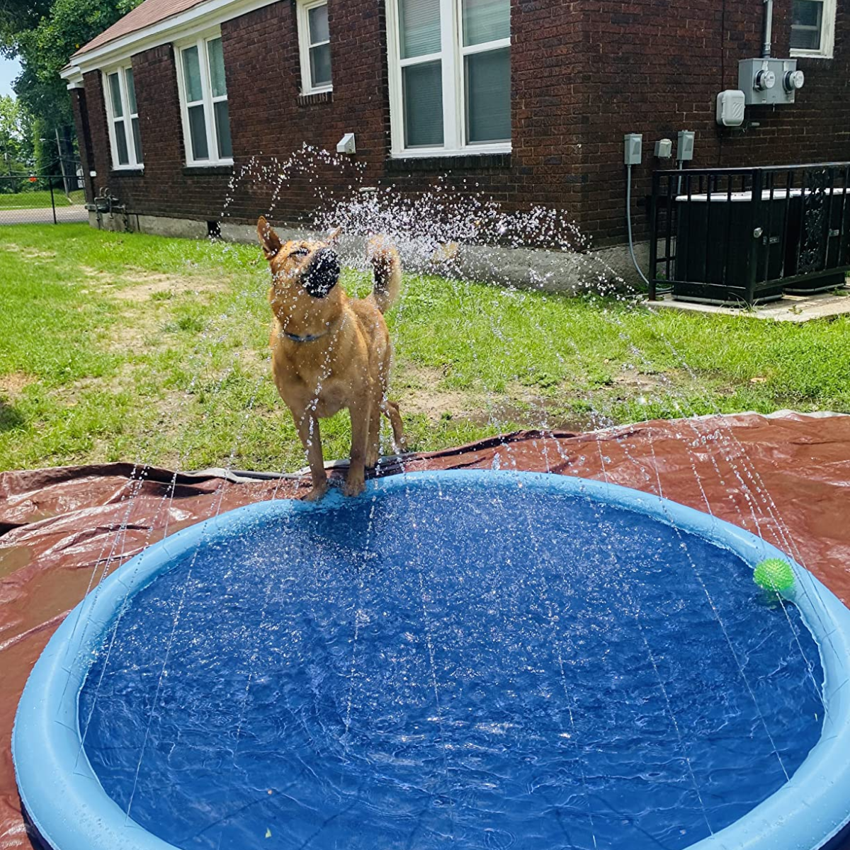 PetSplash™ - De splashpad waar je pup blij van wordt!