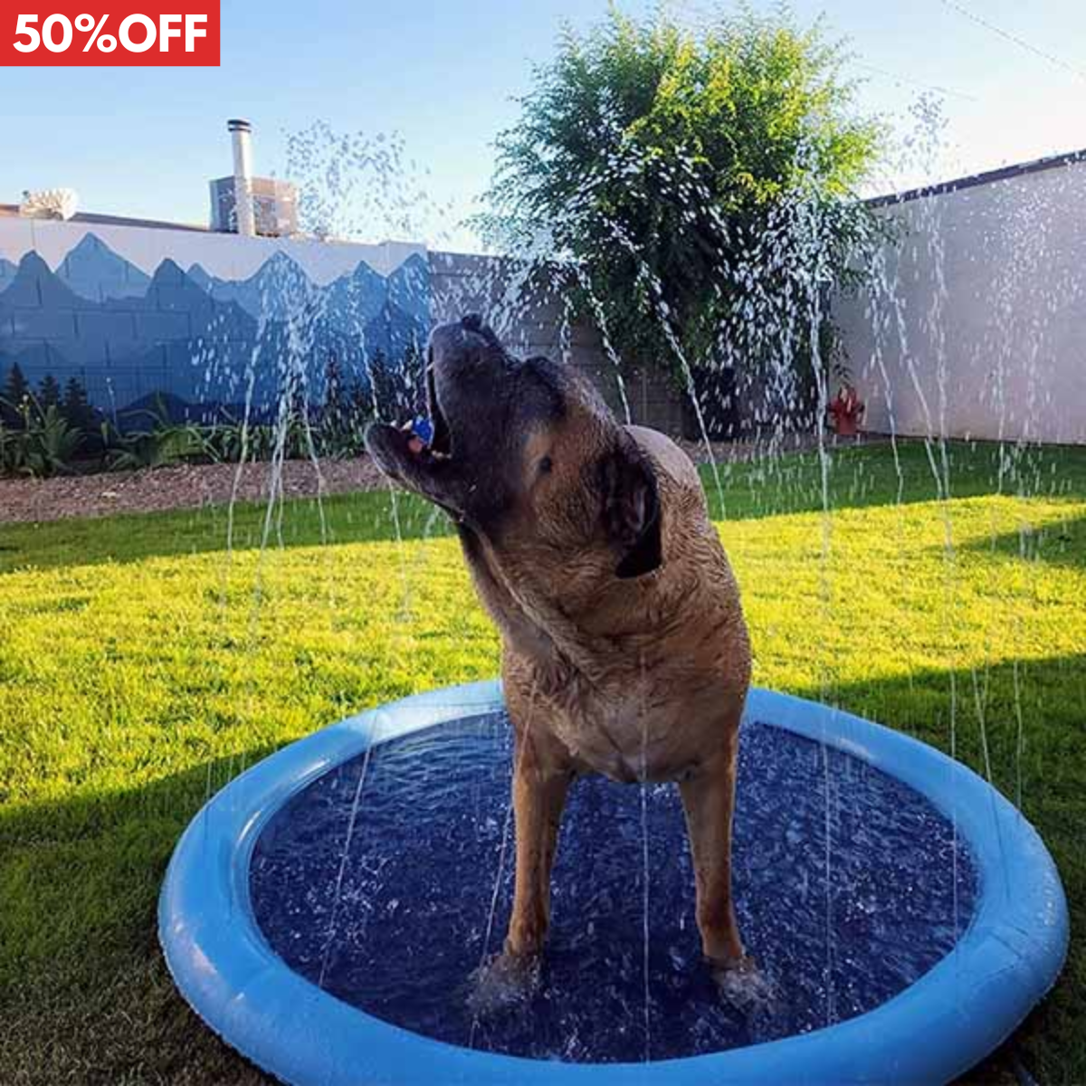 PetSplash™ - De splashpad waar je pup blij van wordt!